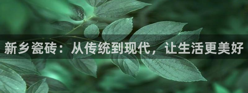 杏鑫平台怎么样