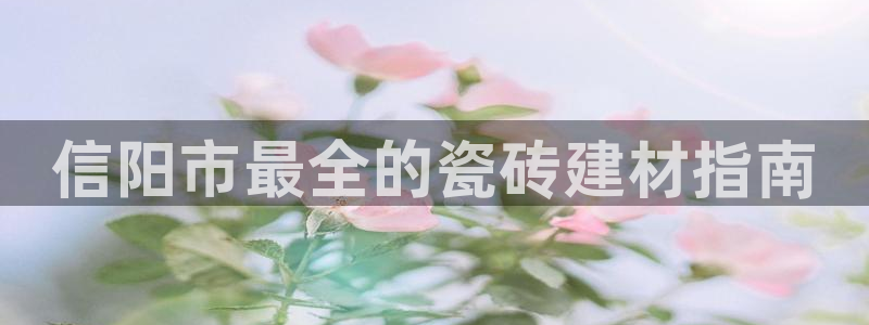 杏鑫平台登录地址在哪