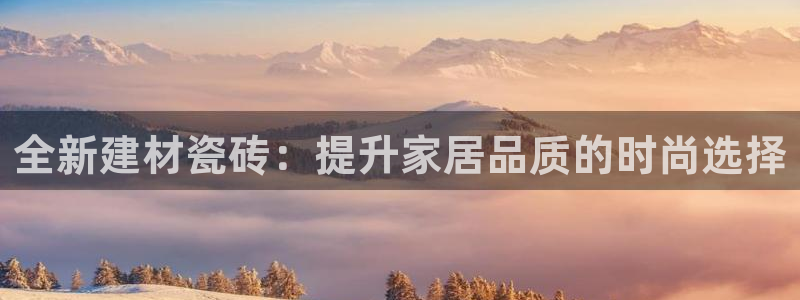 杏鑫平台代理注册流程图