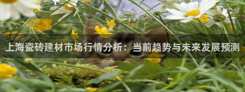 杏鑫娱乐开发团队