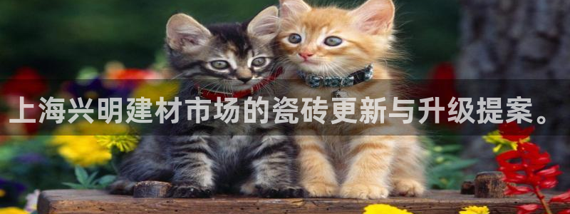 杏鑫平台招商电话是多少