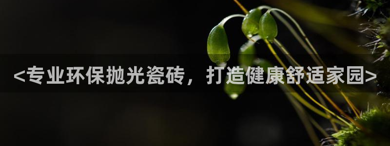 杏鑫平台代理注册多少钱啊