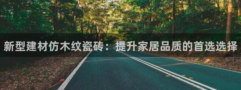 杏鑫平台登录地址是什么