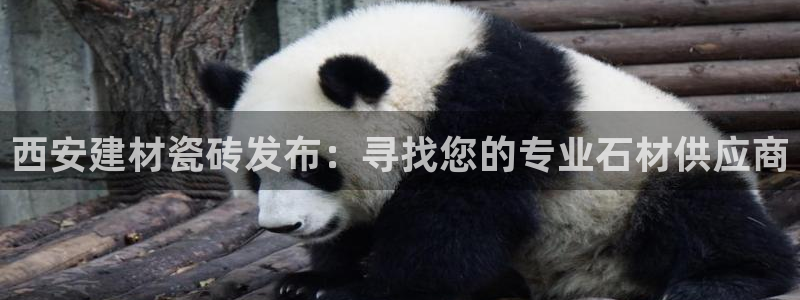 杏鑫娱乐是合法的吗是真的吗