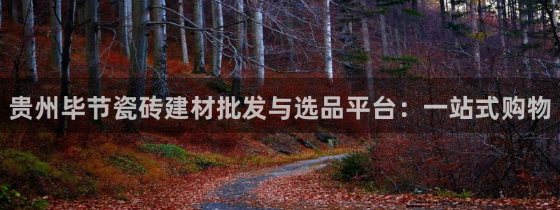 杏鑫官网注册账号是什么样的