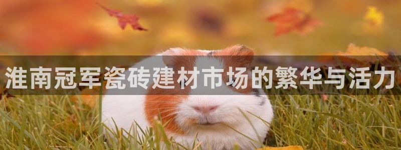 杏鑫平台代理注册流程图