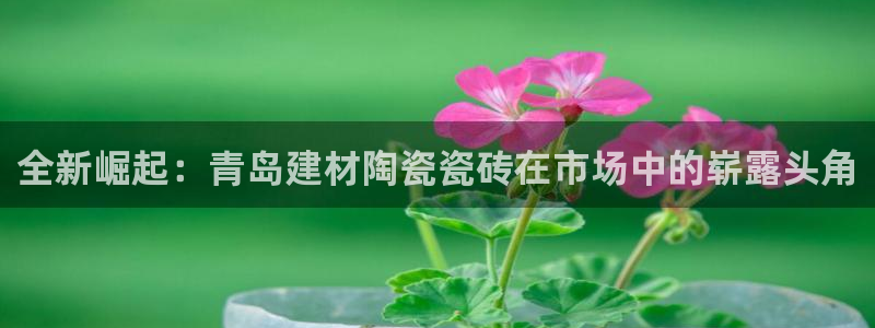 杏鑫官网注册账号密码是什么