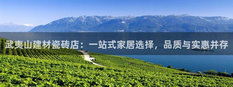 杏鑫平台野马联盟怎么样