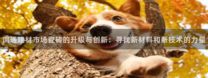 杏鑫平台登录地址查询