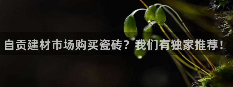 杏鑫平台代理注册流程视频