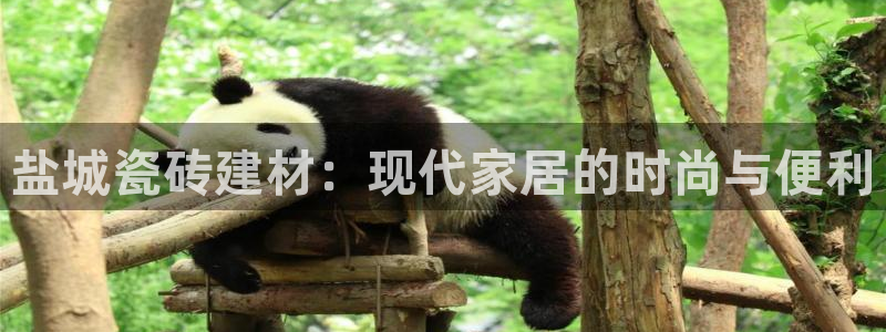 杏鑫平台广7O777