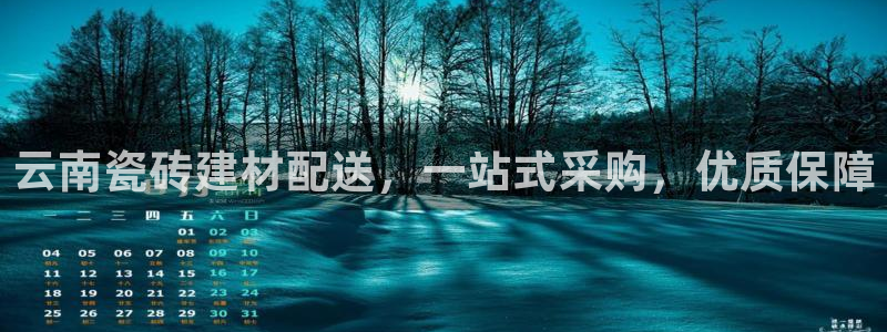 杏鑫平台注册地址在哪里