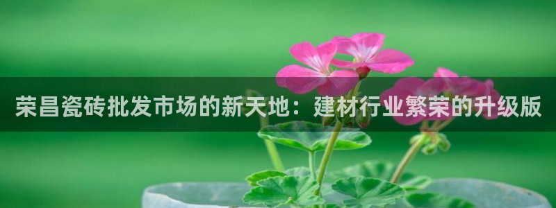 杏鑫平台在线注册