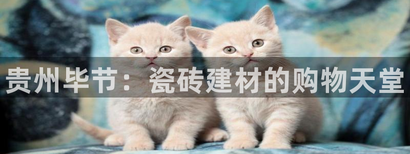 杏鑫平台注册入口在哪里找